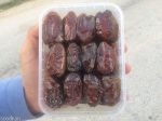 فروش بزرگ خرمای ایران-pic1
