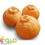 نارنگی بندری-pic1