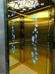 شركت آسانسور ارتفاع سازان آبنوس(تهران)-pic1