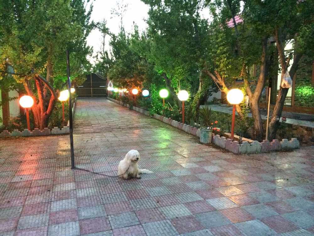 باغ ویلا قابل سکونت در شهریار کد368-pic1