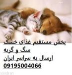 پت شاپ - غذای خشک - سگ و گربه-pic1