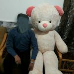 عروسک خرسی قیمت شکن -pic1