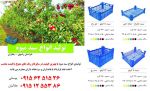 تولید و فروش انواع سبد میوه-pic1