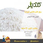 برنج طارم هاشمی(بوجار)-pic1