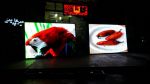تلویزیون شهری-تابلو روان-LED-تک رنگ و فو-pic1