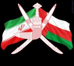 حمل و ارسال انواع کالا به کشور عمان | حم