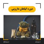 دوره آموزشی گیاهان دارویی در تبریز-pic1