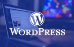آموزش طراحی سایت با ورد پرس (WordPress)-pic1
