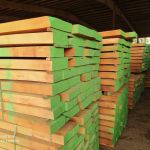 فروش انواع چوب راش-pic1