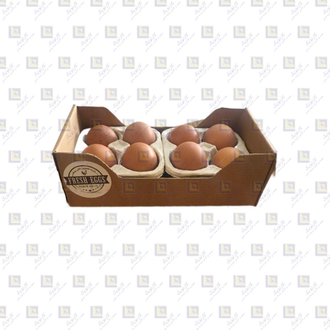 تولید و فروش کارتن تخم مرغ با کیفیت-pic1