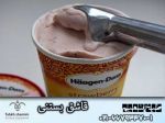 قاشق بستنی - اسکوپ بستنی ارگونومیگ-pic1