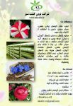 فروش انواع بذر F1, F2 و نشای گیاهان 