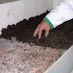 خاک پوششی تولید قارچ 09199762163-pic1