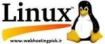 میزبانی وب/هاست لینوکس-pic1