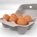 خط تولید شانه تخم مرغ و ظروف کاغذی-pic1