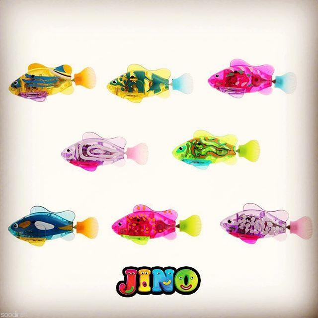 فروش ماهی چراغدار جینو-pic1