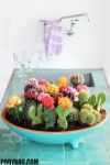 ۳۰ گلدان خلاقانه برای ساکولنت ها در دکور