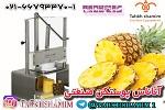دستگاه آناناس، دستگاه پوستکن صنعتی-pic1