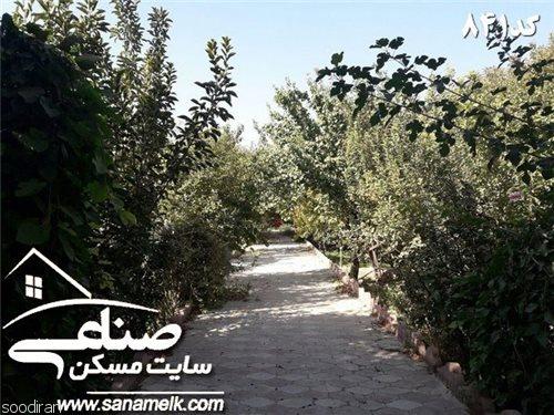 باغ سرسبز با سند 6دانگ در بکه کد 841-pic1