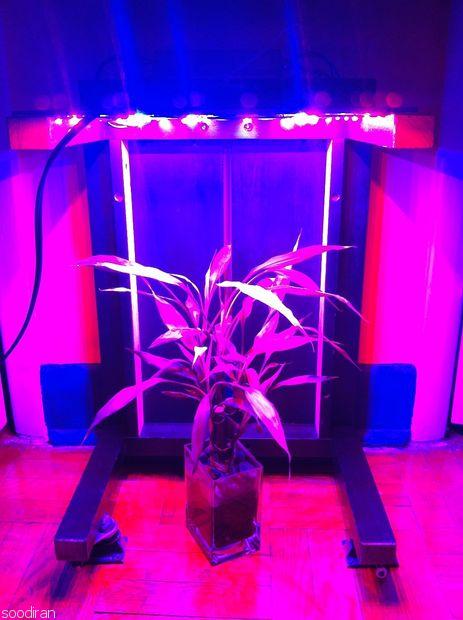 لامپ های ال ای دی مخصوص رشد گیاه-pic1
