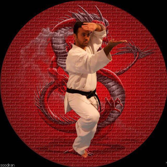 آموزش کاراته توسط قهرمان آسیا-pic1