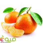 نارنگی یافا-pic1