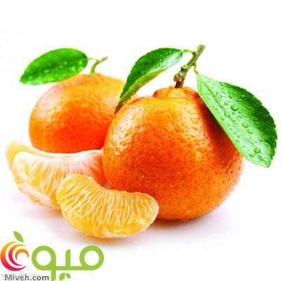نارنگی یافا-pic1