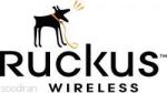 فروش تجهیزات حرفه ای    Ruckus Wireless 